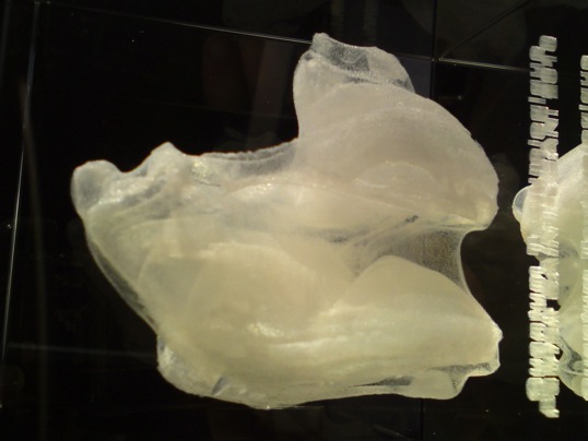 FractoCell3D