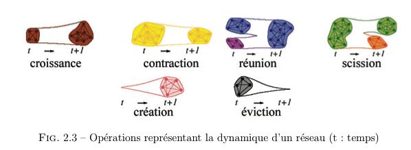 réseau dynamique